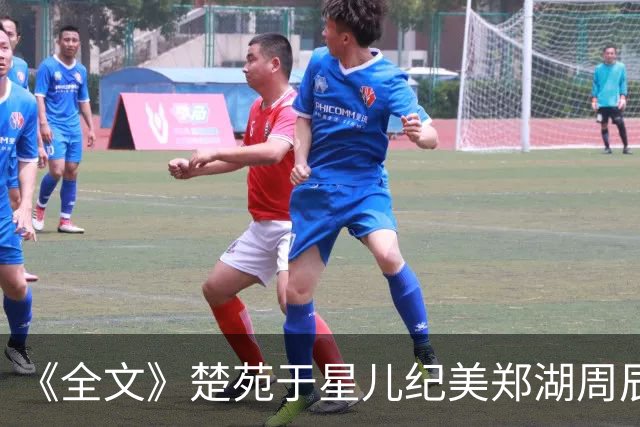 《全文》楚苑于星儿纪美郑湖周辰《失物上报守则》