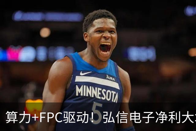 算力+FPC驱动！弘信电子净利大增139%，股价较年内高点回撤超40%