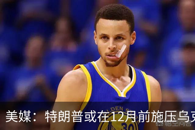 美媒：特朗普或在12月前施压乌克兰，让出顿巴斯